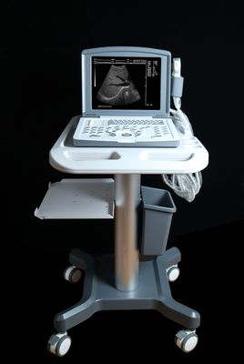 Máy quét siêu âm chẩn đoán kỹ thuật số đầy đủ OEM