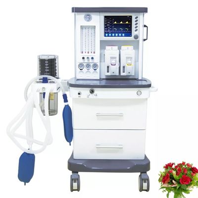 Máy gây mê màn hình LCD 10,4 inch Maquina De Anestesia di động